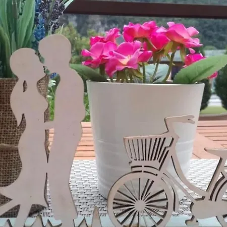 Valley House Apartman Roe